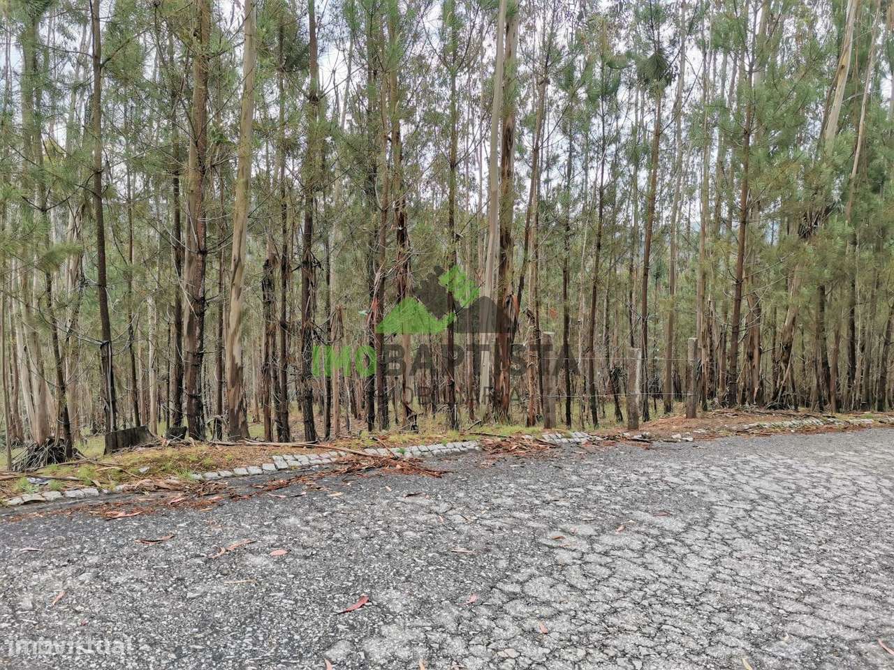 Terreno c/3600 m2 em Canedo - Grande imagem: 5/11