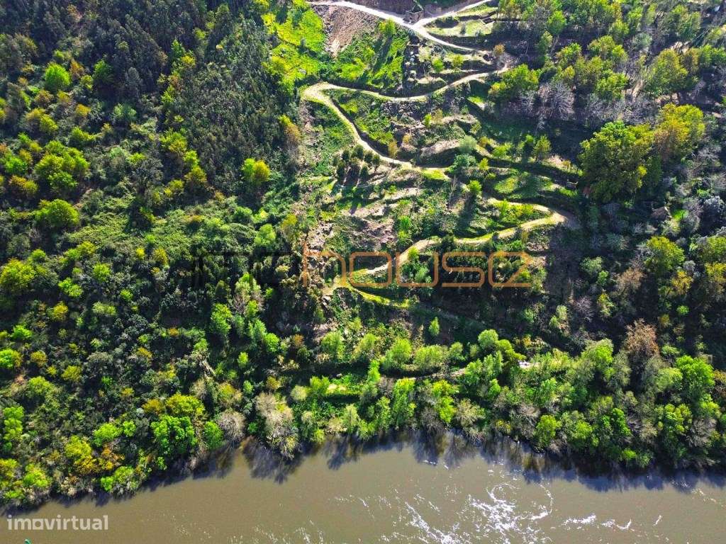 Quinta com frente de Rio Douro-28