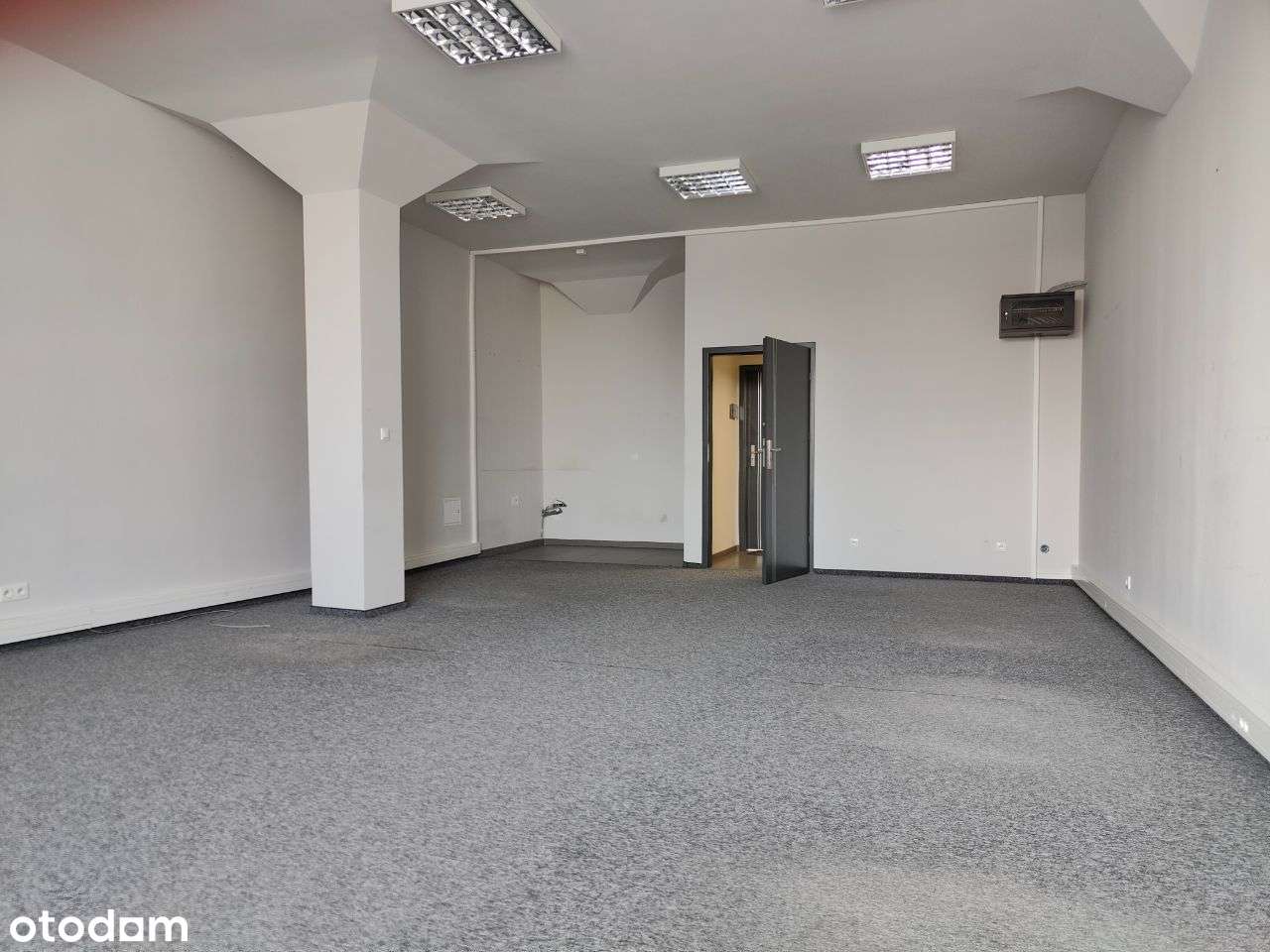 BEZPOŚREDNIO 50 i 60 i 100 m2 Górczyn - Pełny obrazek: 4/5