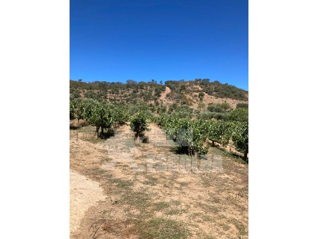 T3 ODEMIRA 379 000€.
MONTE ALENTEJANO ..-22