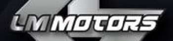 LMmotors logo