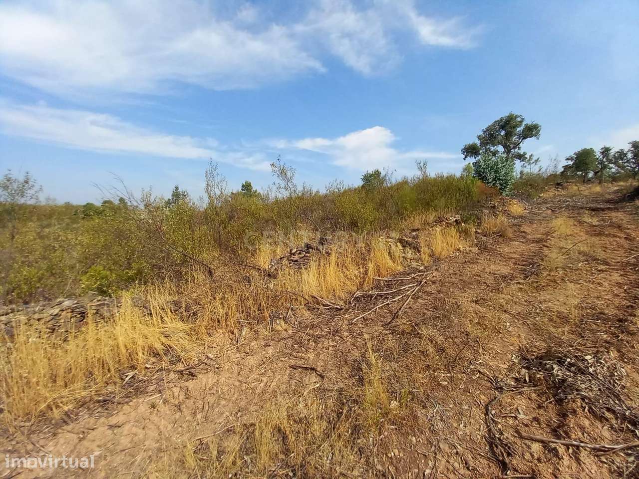 Terreno Rustico com 30960m2 - Grande imagem: 5/10