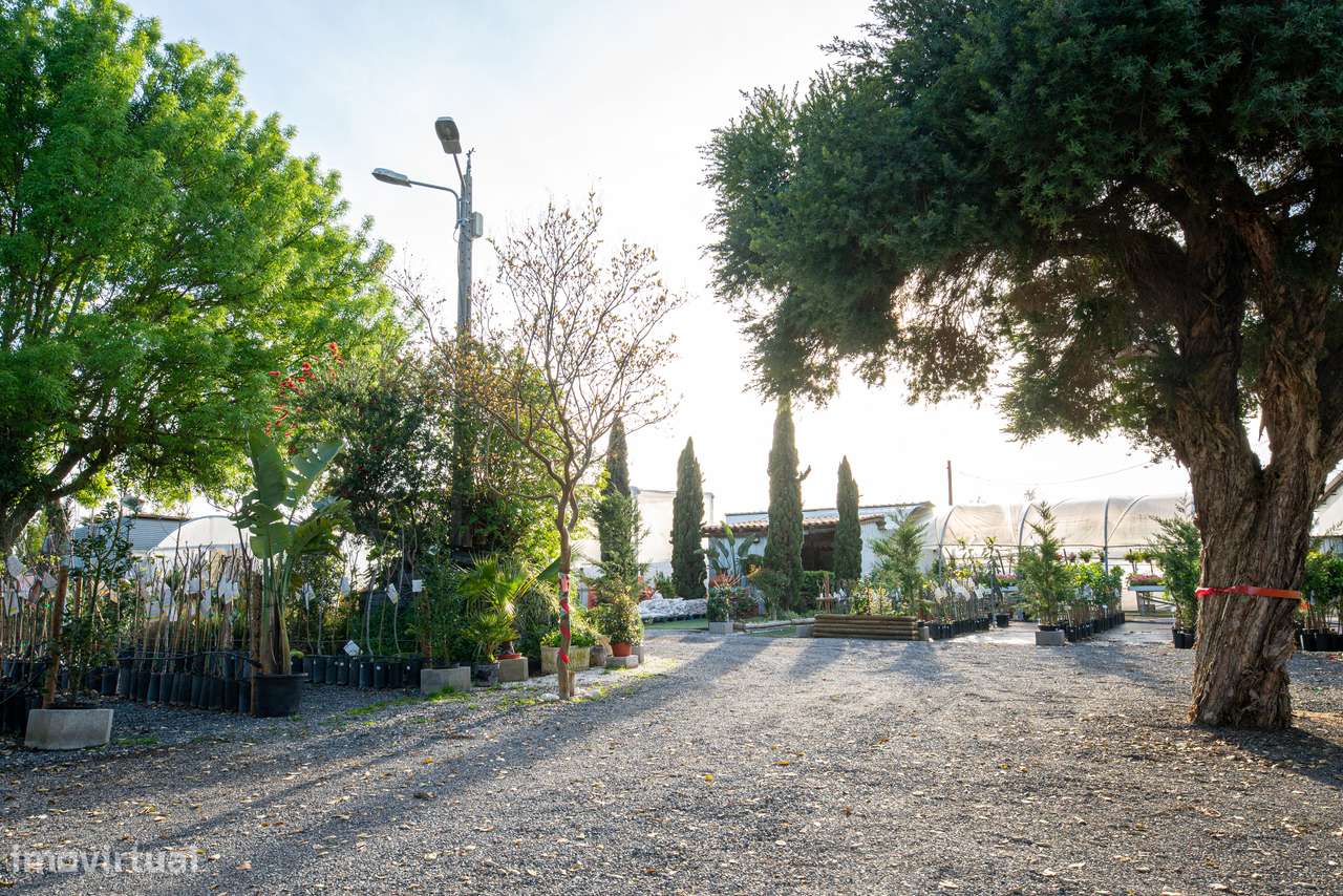 Trespasse de Centro de Jardinagem – Negócio Completo e Equipado - Beja-16