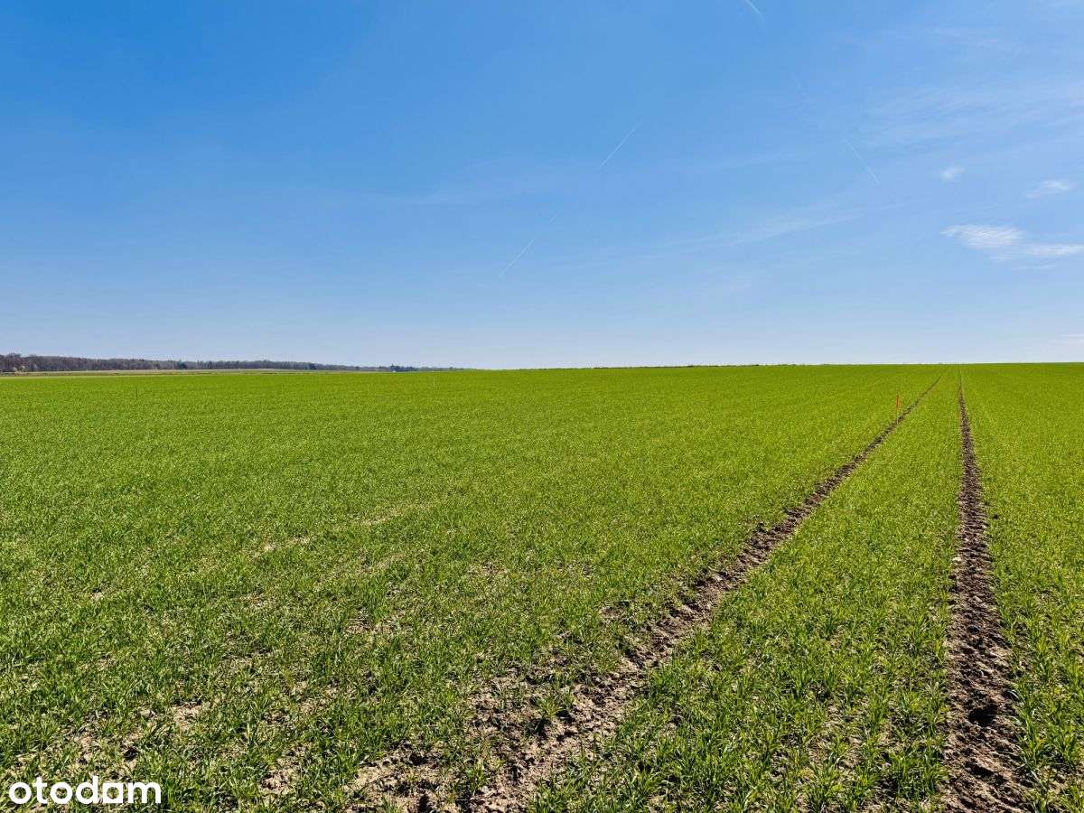 Działki z wydanymi WZ | Jordanów Śląski | 99 Tys !-1