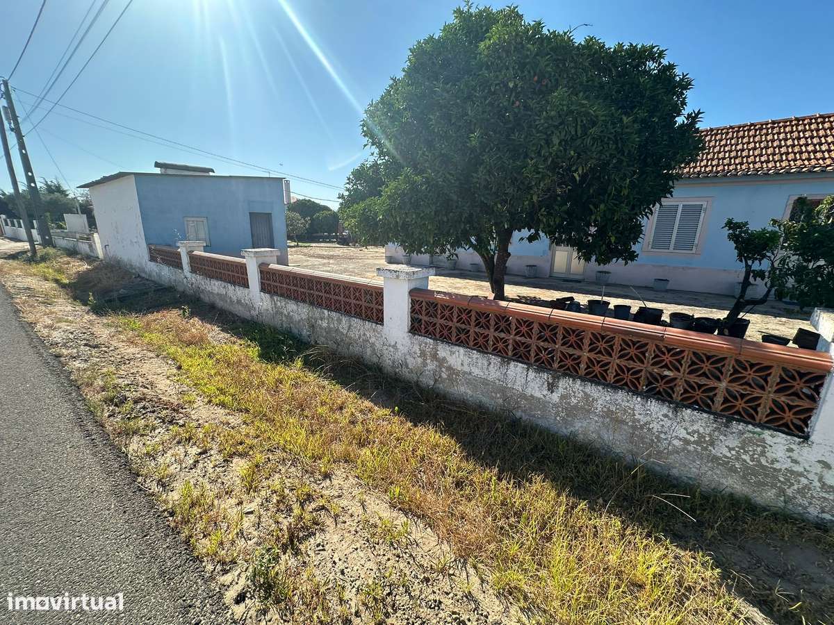 Quintinha com Moradia T2 em Foros Salvaterra - Grande imagem: 4/22