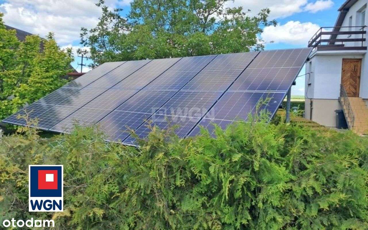 Siedlisko W Pobliżu Torunia-14