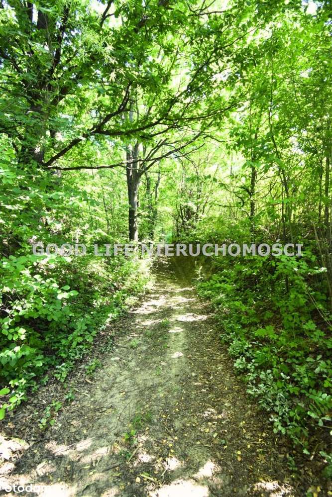 Piękna działka z Wz pod lasem w Tyczynie - Pełny obrazek: 4/6
