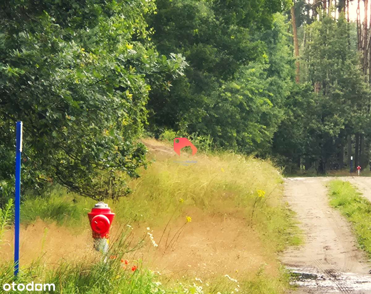 Działka Przy Lesie - Nekla  1224m2 Budowlana - Pełny obrazek: 4/6
