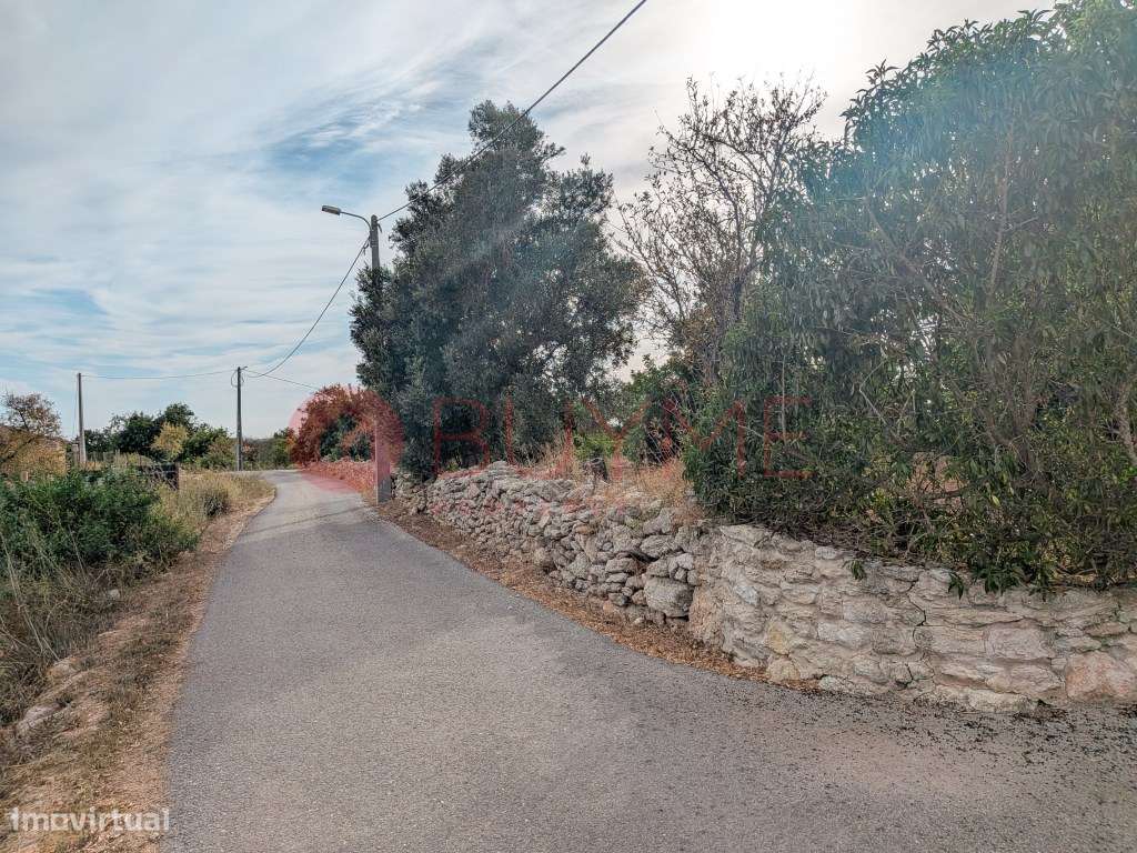Moradia Rústica T6 com 5 Hectares em Tunes, Silves-52