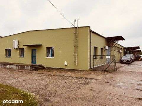 Hala produkcyjno-biurowa 1400m2 magazyn 630m2 Śrem - Pełny obrazek: 5/5
