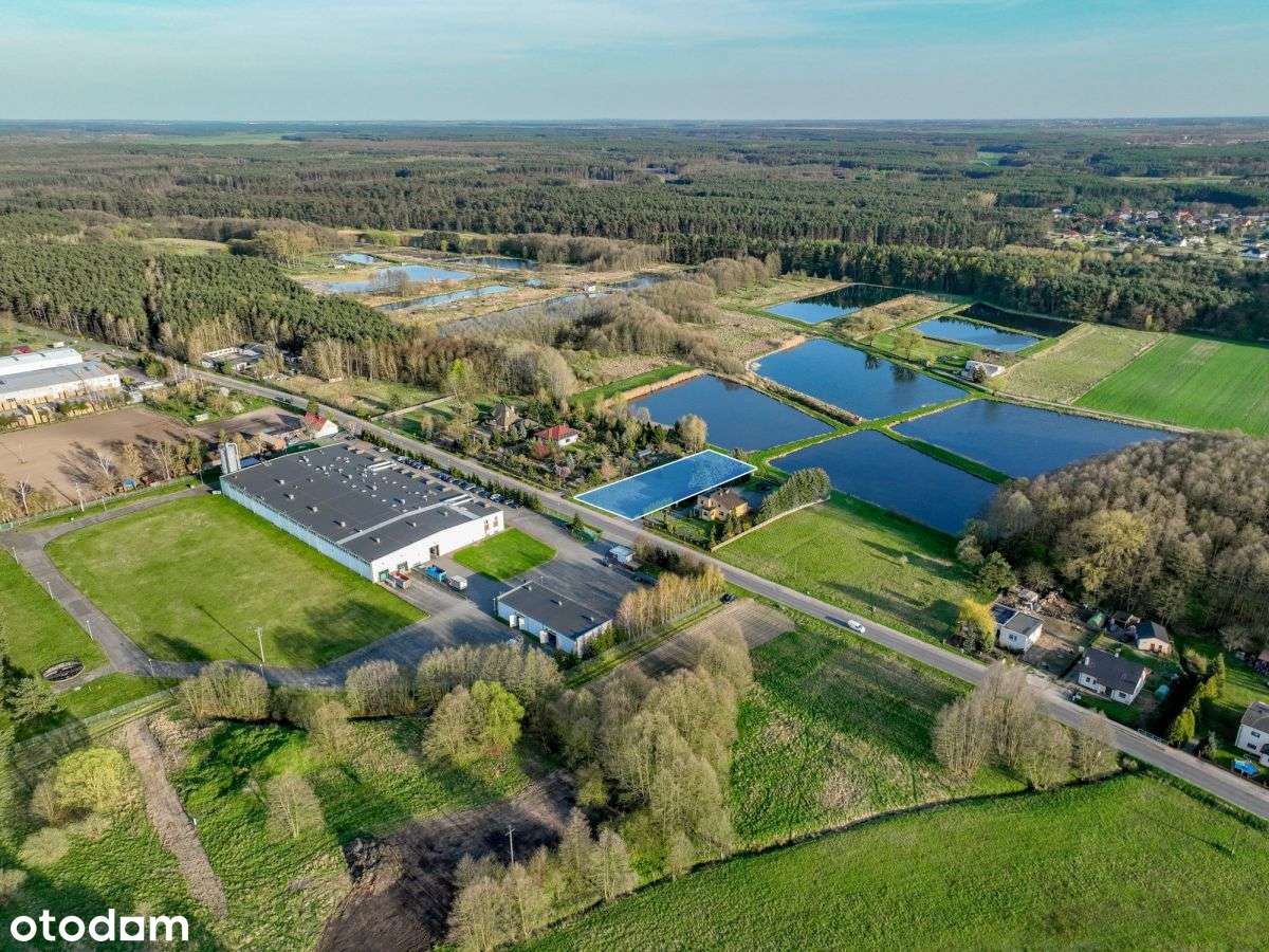 Nietuzinkowa działka w bliskości Puszczy Noteckiej-3