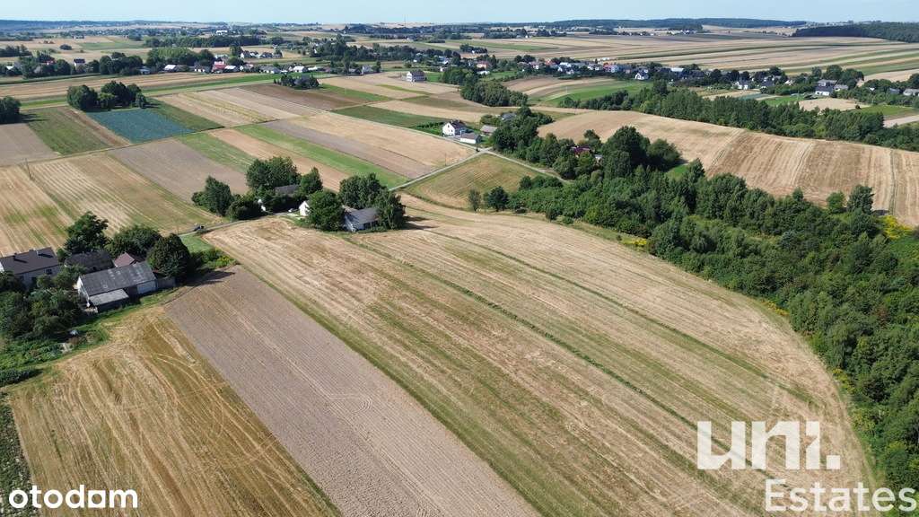 Duża działka  | Zagórowa | Cicha okolica - Pełny obrazek: 2/10