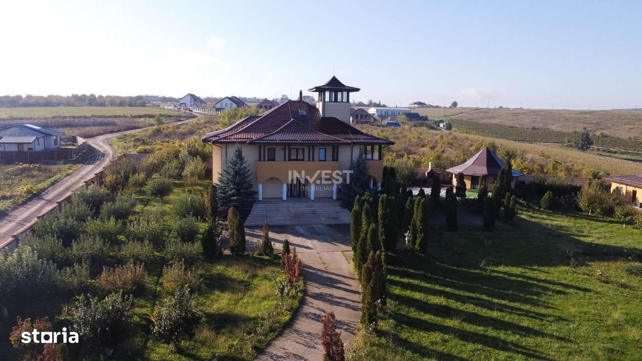 Proprietate Unica de Vanzare in Visani, Iasi – Resedinta si Investit - Imagine principală: 2/12