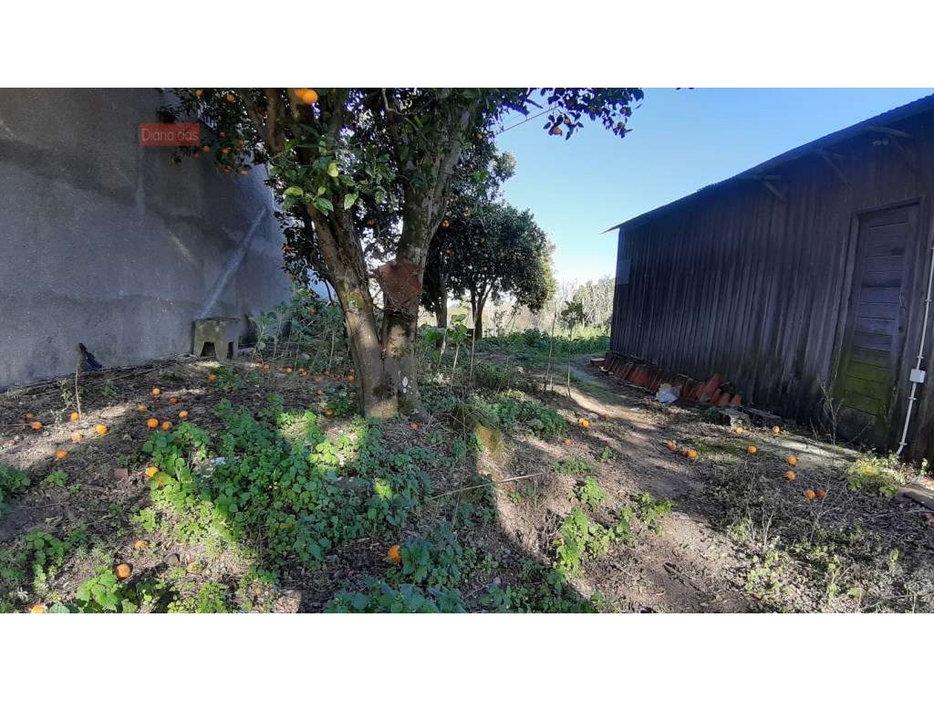 Terreno com 400 m2 Pampilhosa - Grande imagem: 5/10