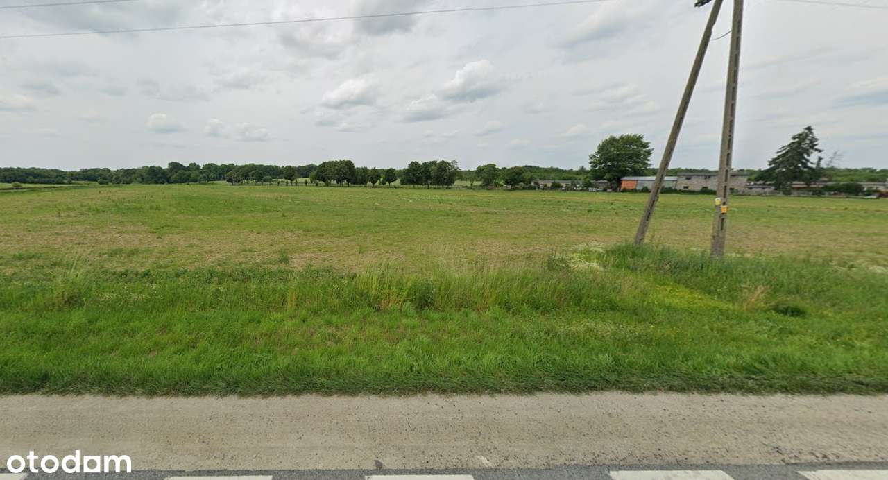 DZIAŁKA INWESTYCYJNA - 19 400 m²  (1,94 ha) - OGROMNY POTENCJAŁ-3