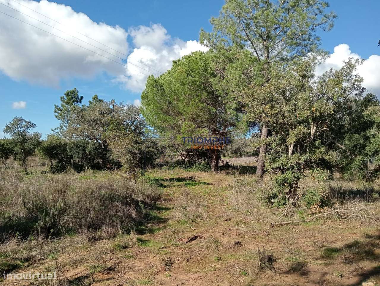 Terreno Rústico 25.000 m²  Lagos - Grande imagem: 4/9