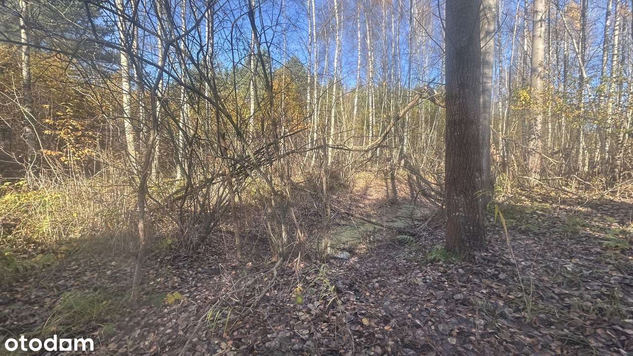 Działka budowlana 7847 m² w spokojnej okolicy! - Pełny obrazek: 4/12