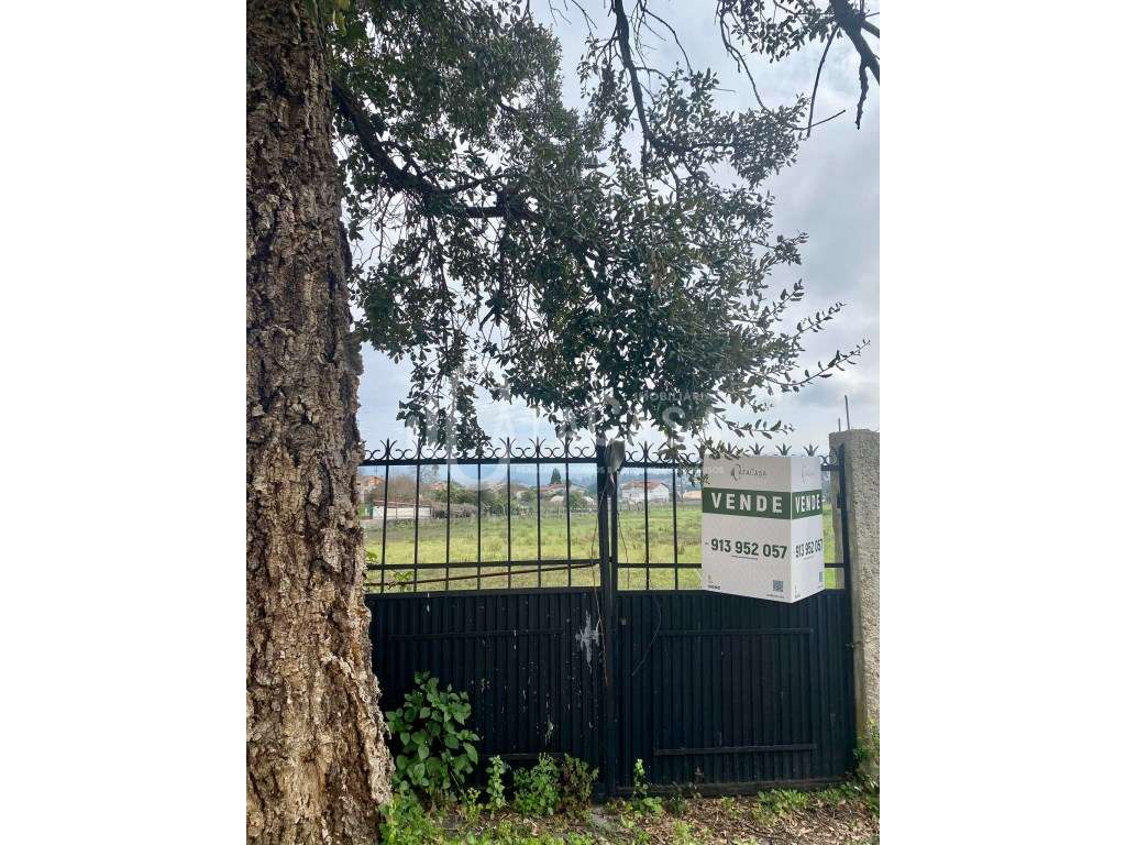 Terrenos para venda a poucos minutos do centro de Águeda-5