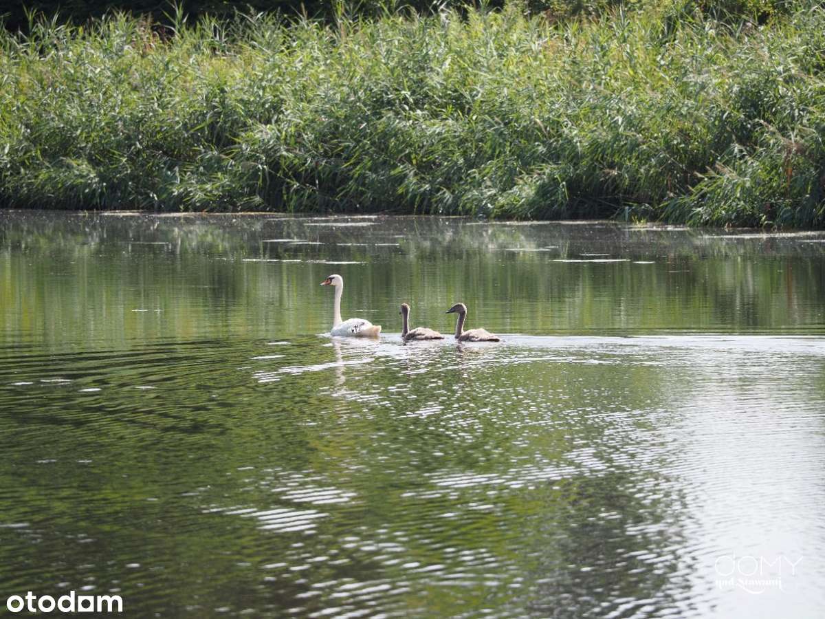Zarezerwowana - Działka budowlana w wyjątkowym otoczeniu |1319/339-7
