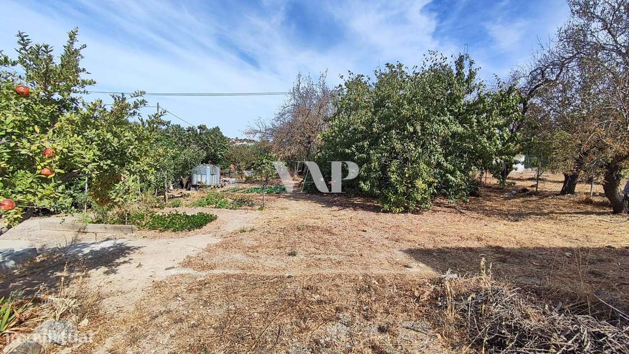 Terreno Urbano com Ruína, Boliqueime - Grande imagem: 4/6