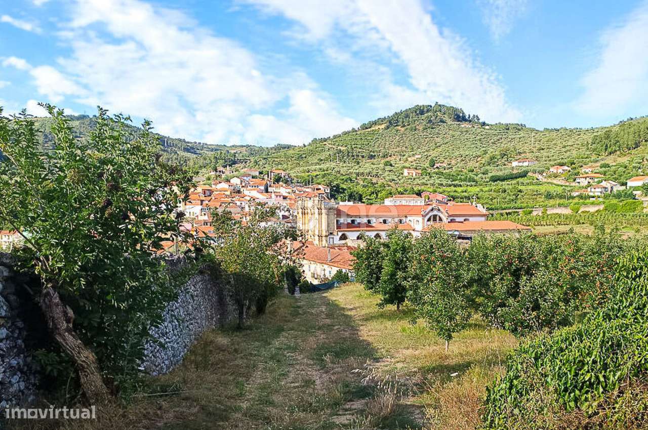 Quinta do Mosteiro de Salzedas com mais 17 ha e património histórico-36