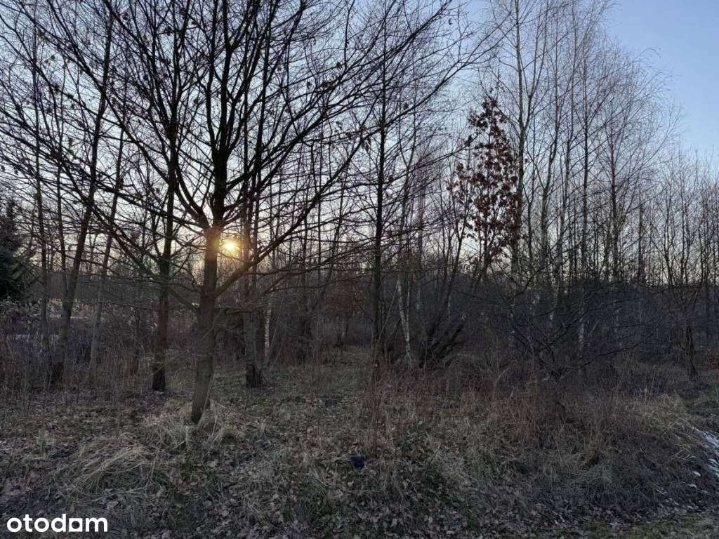 Atrakcyjna działka w Rudzińcu-0