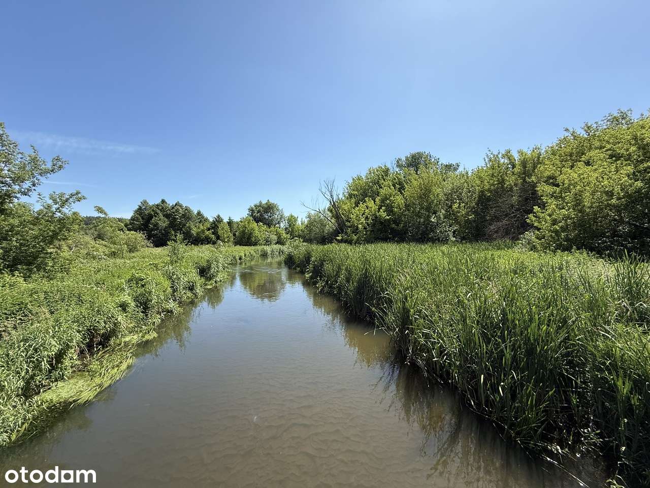 Przepiękna działka leśno - budowlana, w dorzeczu Warty, Kłobukowice !-7