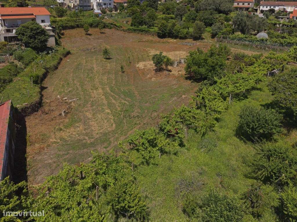 Terreno para Construção | Arcozelo, Ponte de Lima-15