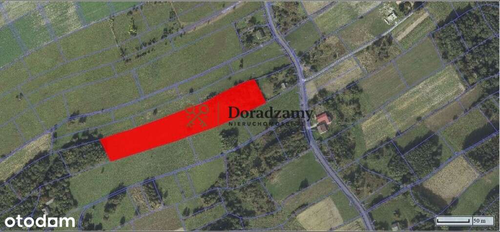 Kompleks 2 działek wraz z drogą - możliwość w-z - Pełny obrazek: 5/5