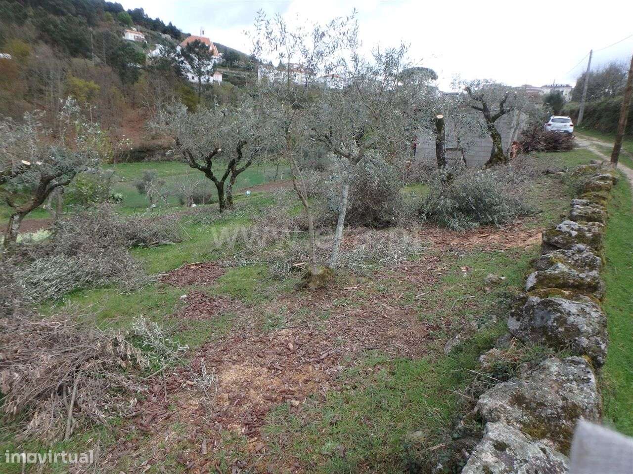 Quinta / Seia, São Romão - Grande imagem: 4/19