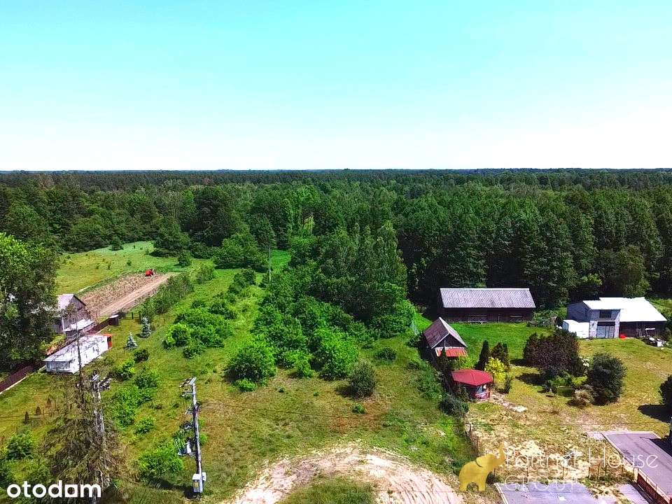 Siedliskowa działka 9700 m2 z dostępem do Liwca - Pełny obrazek: 4/10