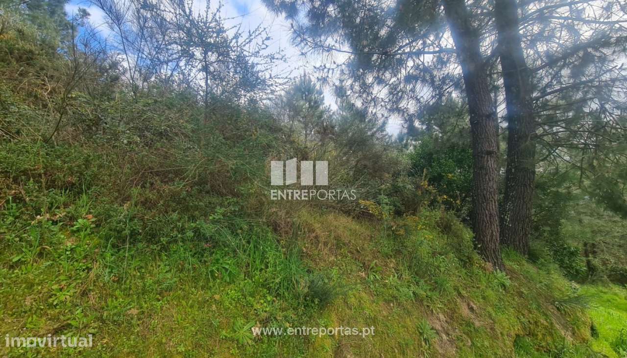 Venda Terreno, Sta. Marinha do Zêzere, Baião - Grande imagem: 4/34