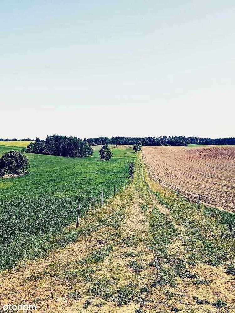 Nowa Wieś, gm. Rybno 300 m od jeziora Rumiańskiego - Pełny obrazek: 5/13