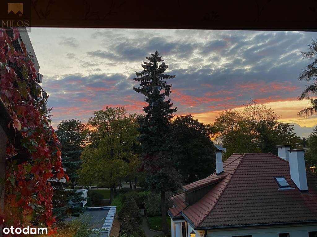 Duży segment w zielonej części Mokotowa-16