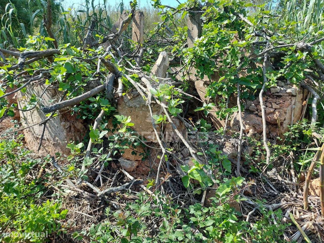 Terreno agrícola 2600m2 com árvores e água em Silves - Grande imagem: 4/17