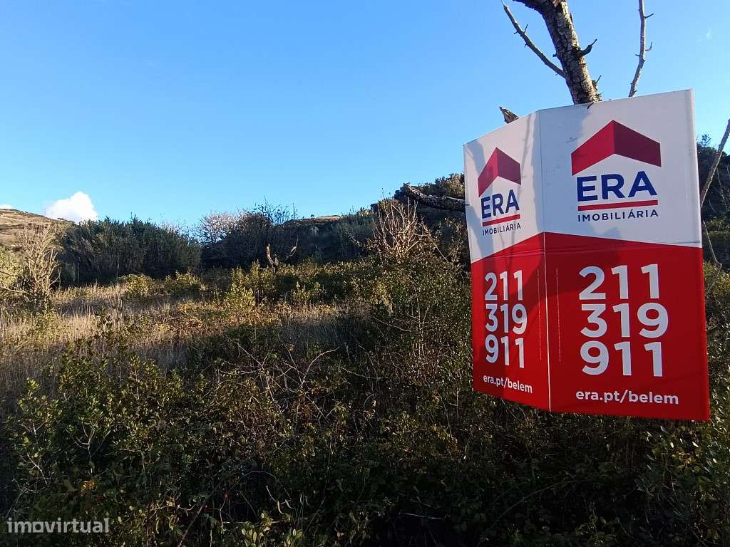 Terreno Rústico, Arruda dos Vinhos - Grande imagem: 3/5