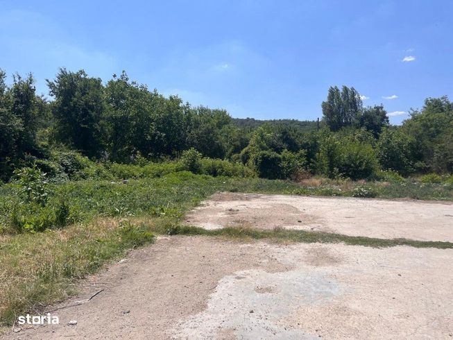Investitie de viitor! Teren intravilan 8554 mp-Bucovat-6