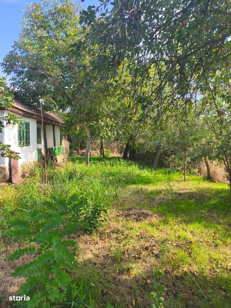 Teren intravilan 600m2 + casa de chirpici Amaru, Buzau. 15 min de A7 - Imagine principală: 4/6