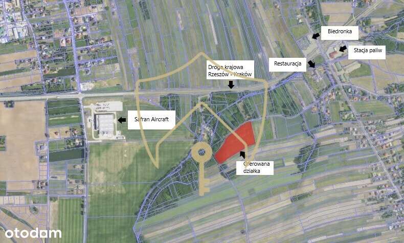 Grunt z potencjałem - Pełny obrazek: 4/13