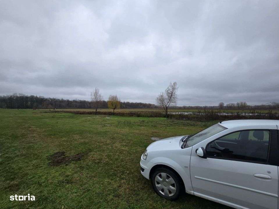 Teren  100.000 mp, Recea-Albota-8