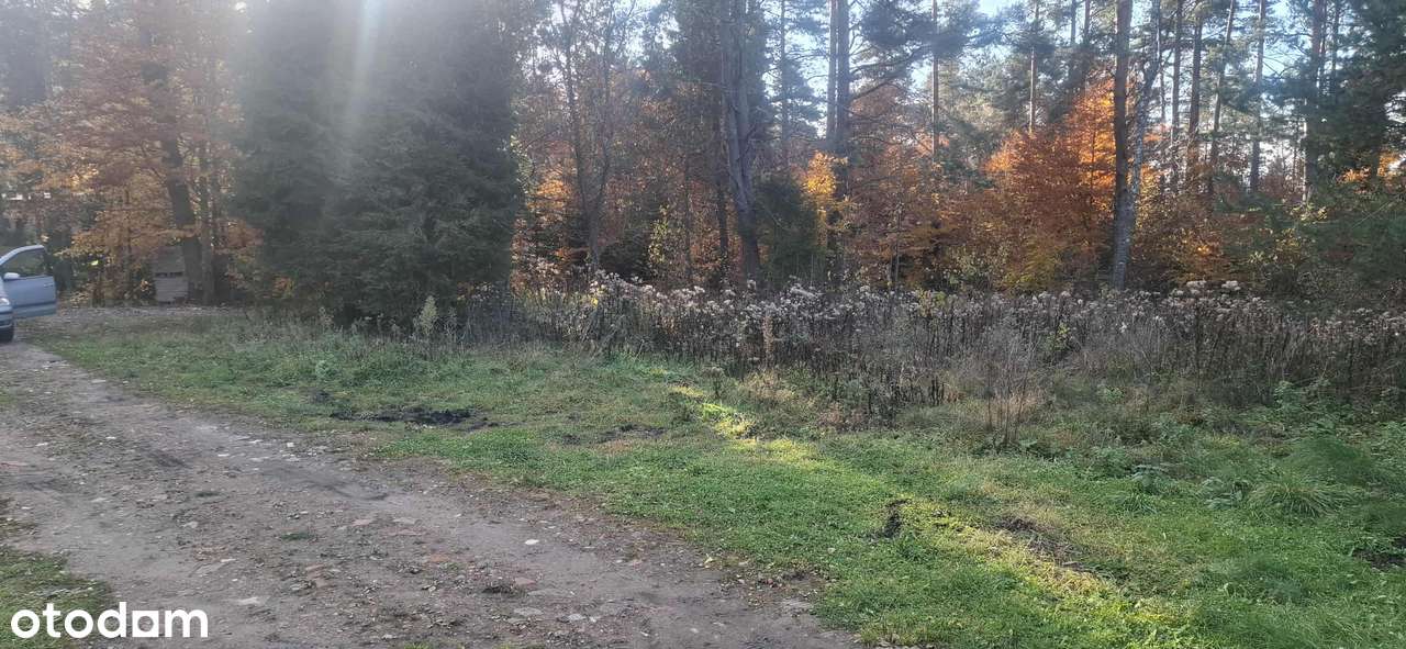 Sprzedam działkę - Pełny obrazek: 4/6