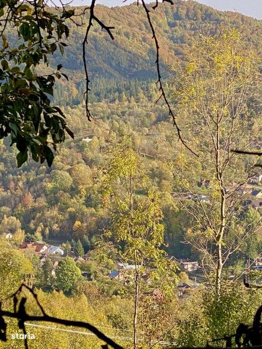 Teren retras panoramic Valea Doftanei 1350 mp panta lina, cu utilitati-8