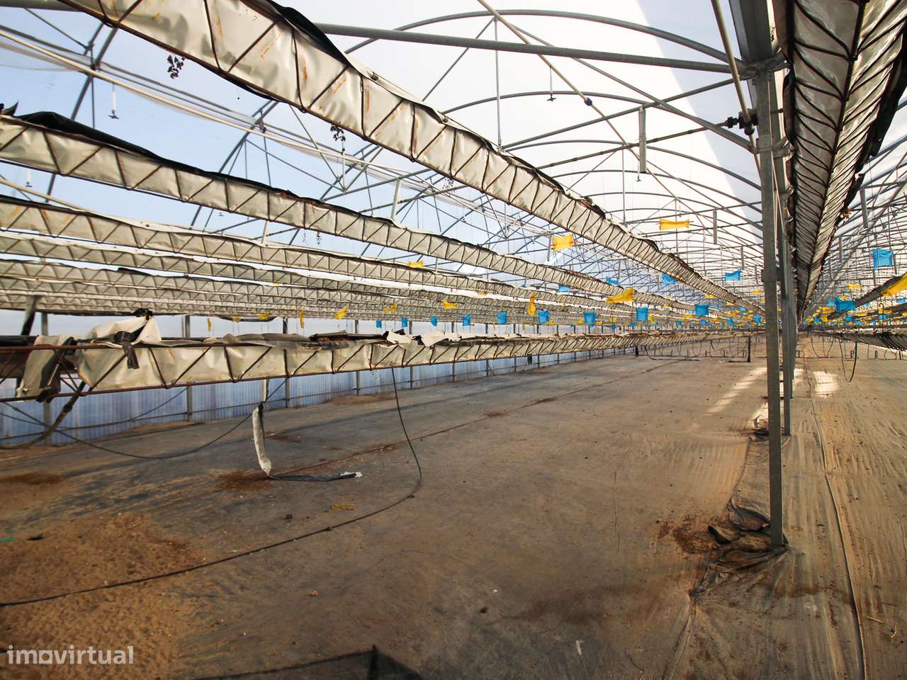 Estufa de produção para Horticultura e Floricultura - Grande imagem: 2/13