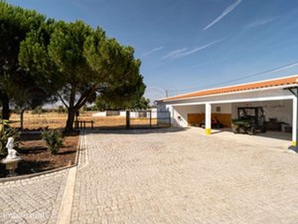 Descubra o privilégio de viver no coração do Alentejo!-12