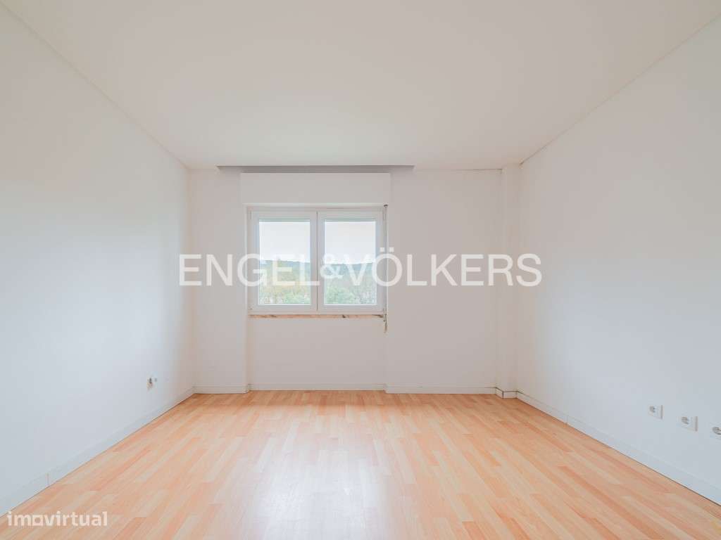 T3 com Excelente Exposição Solar e arrecadação - Grande imagem: 3/36