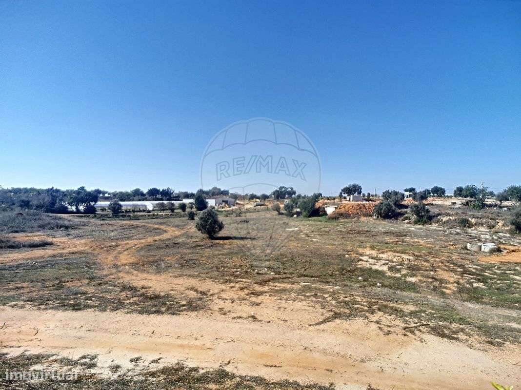 Quinta  para venda-21