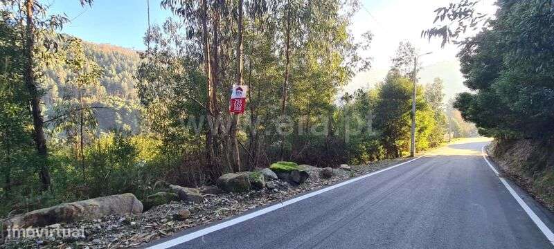 Terreno / Penafiel, Abragão - Grande imagem: 5/16