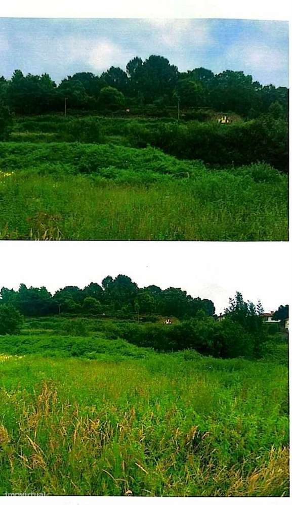 Terreno Para Construção  Venda em Oliveira de Azeméis, Santiago de Rib - Grande imagem: 2/9