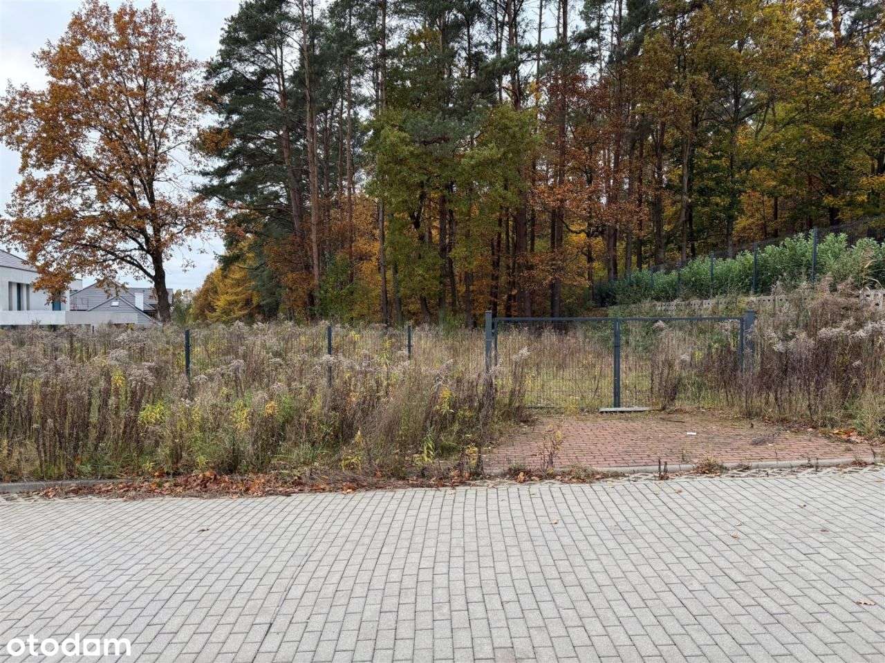 Lubiatowo Zielone Wzgórze -gotowa do zabudowy.-7