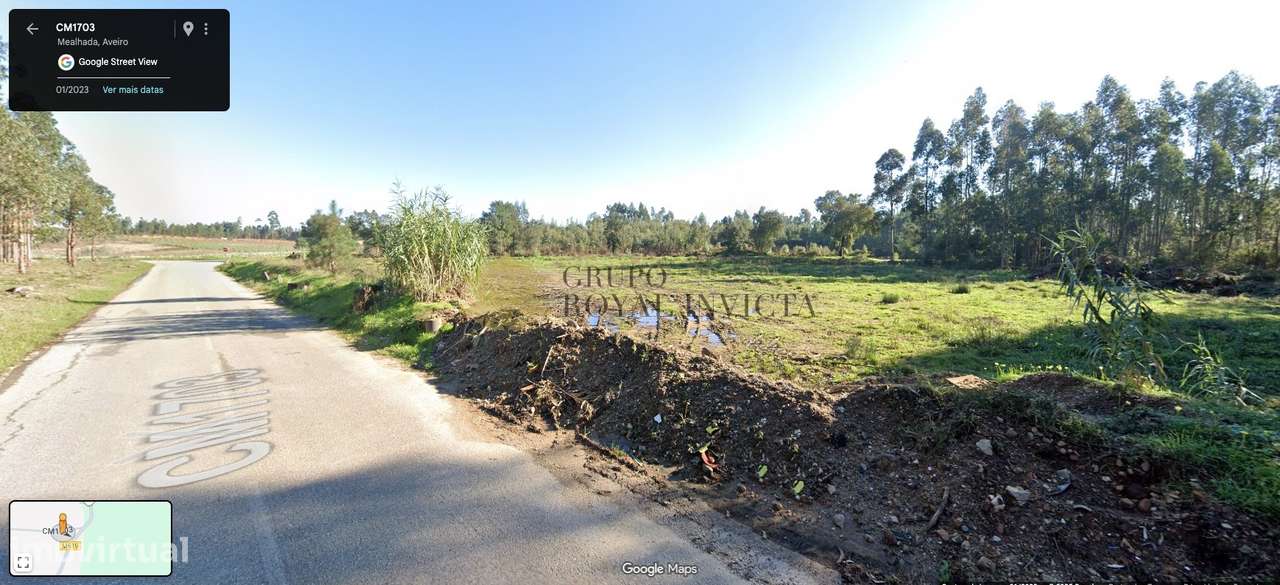 Terreno Rústico com 5.290 m² – Grada, Mealhada - Grande imagem: 2/7